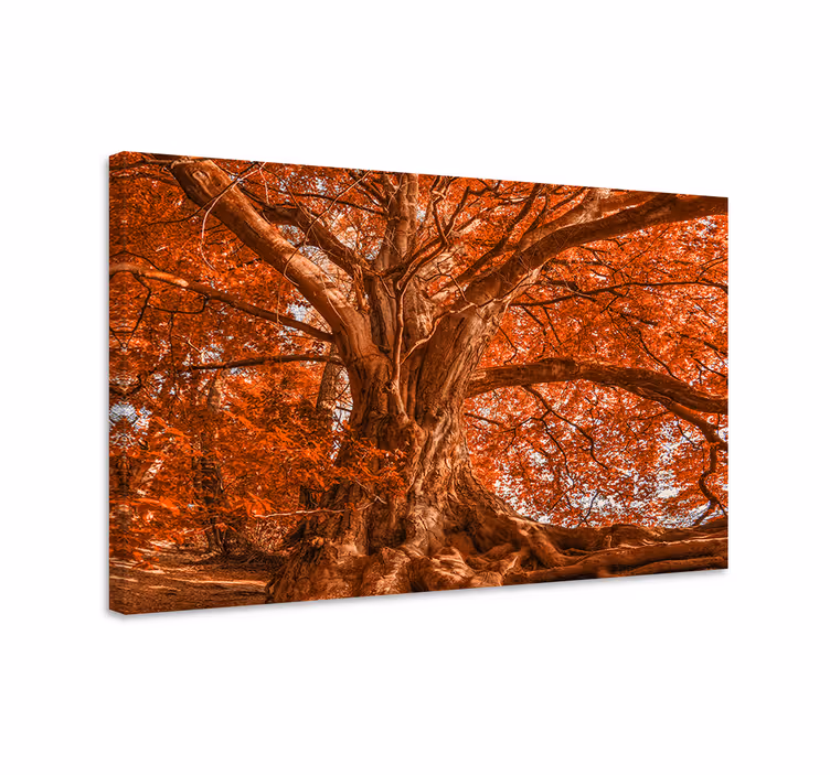 Majestic autumn canopy platna z enojnim drevesom - TenStickers