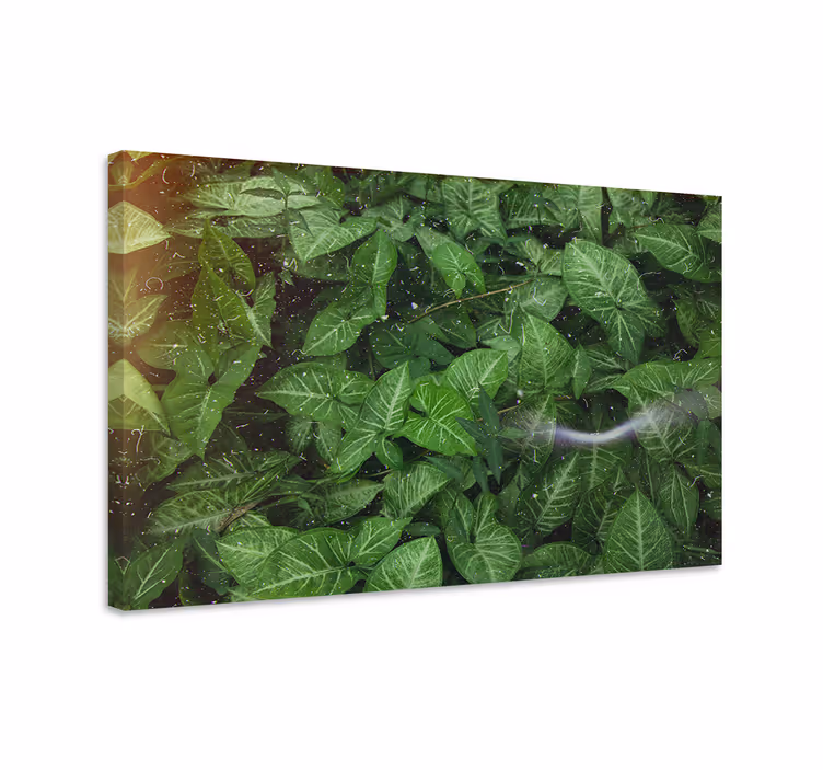 Vibrant green leaves slikarsko platno z rastlinami - TenStickers