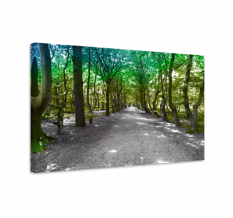 Verdant forest path platna z enojnim drevesom - TenStickers