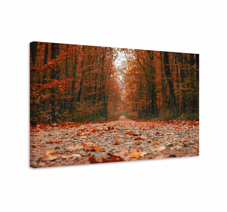 Fall trail platno slika zemljevidov - TenStickers