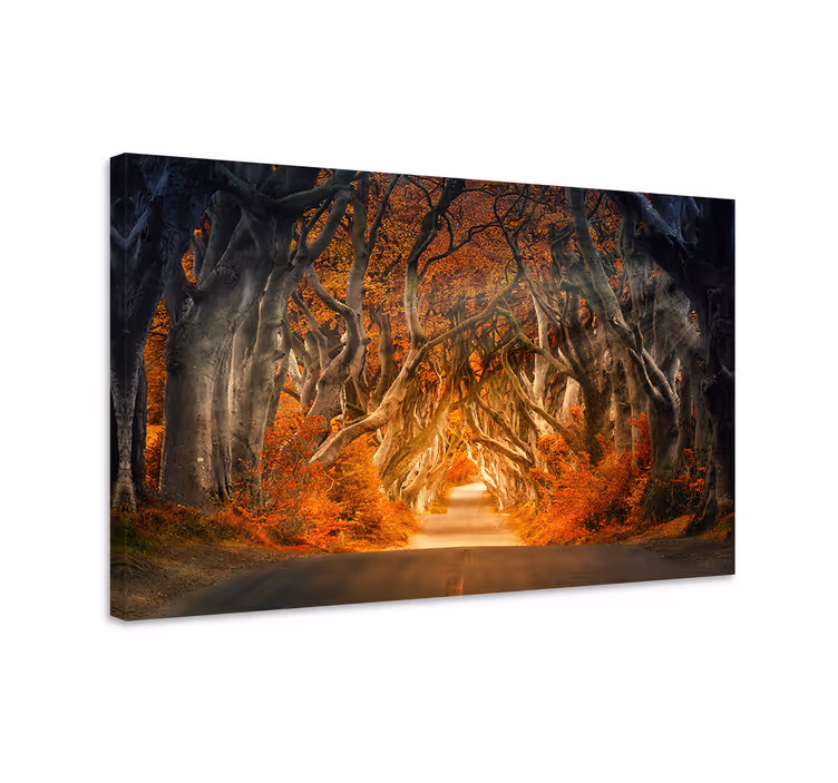 Mysterious autumn path platno slika zemljevidov - TenStickers