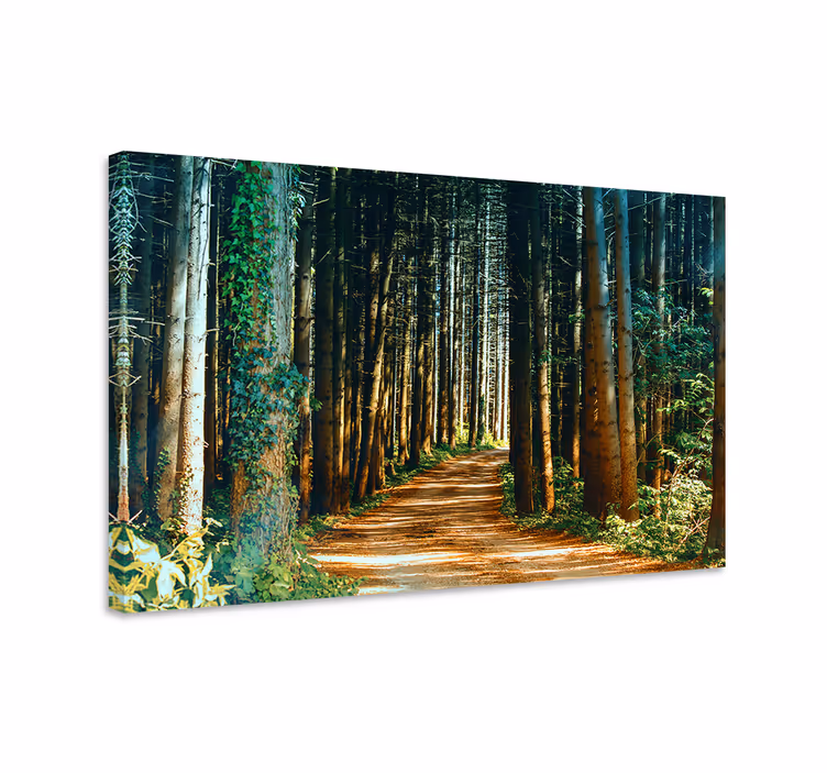 Forest path platno slika zemljevidov - TenStickers