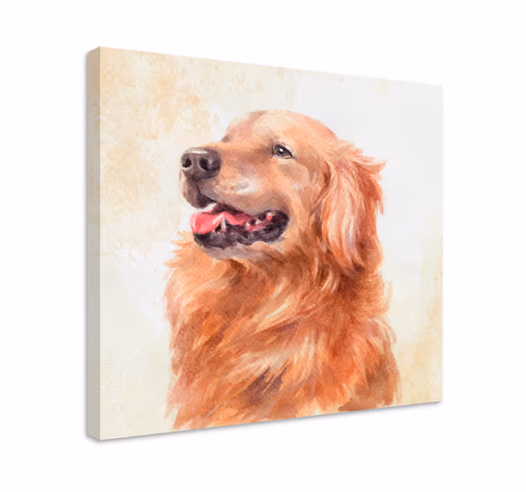 Golden retriever illustration platno slikarstvo pes - TenStickers
