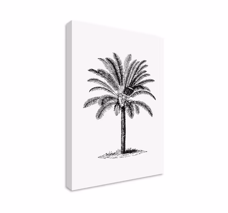 Palma silhueta drevesa steno platno - TenStickers