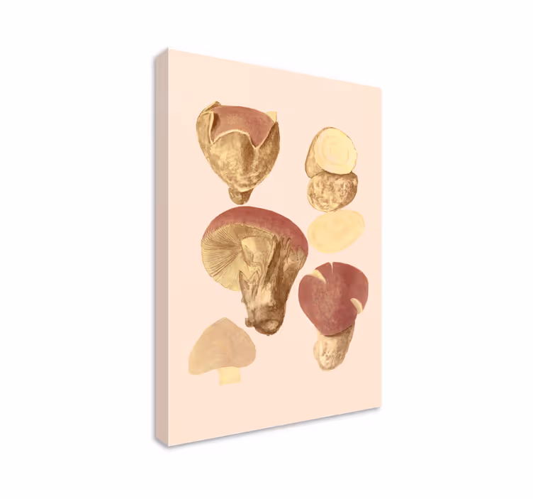 Mushroom collection slikarsko platno z rastlinami - TenStickers