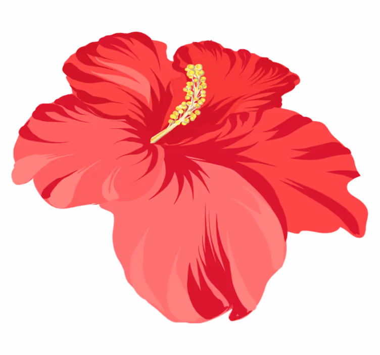 Cvetlična vinilna preproga rdeči hibiskus komplet - TenStickers