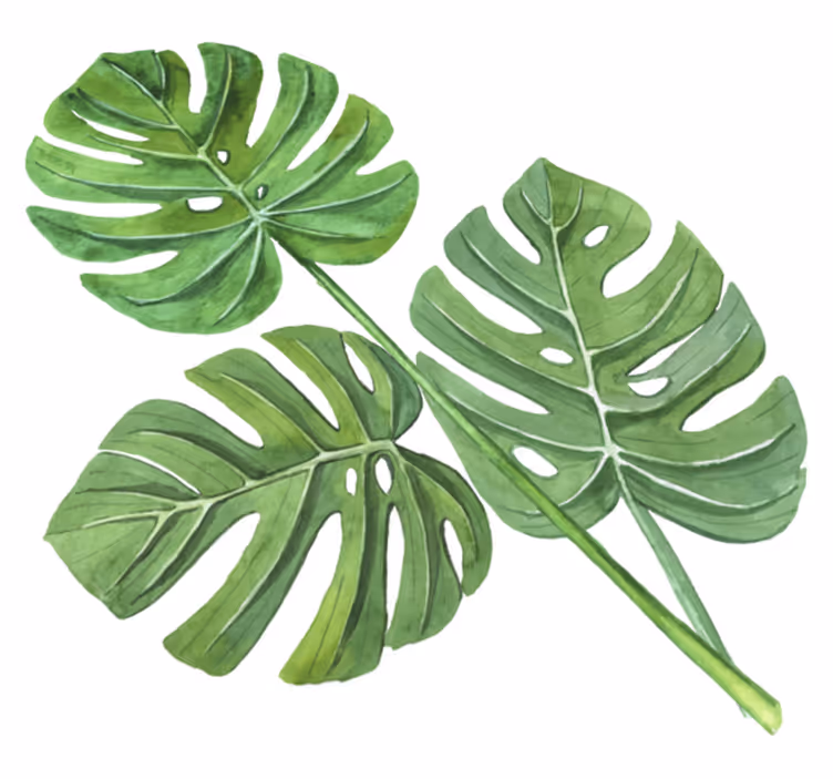 Cvetlična vinilna preproga monstera akvarelni listi - TenStickers