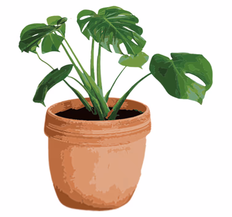 Cvetlična vinilna preproga preprosta lončnica monstera - TenStickers