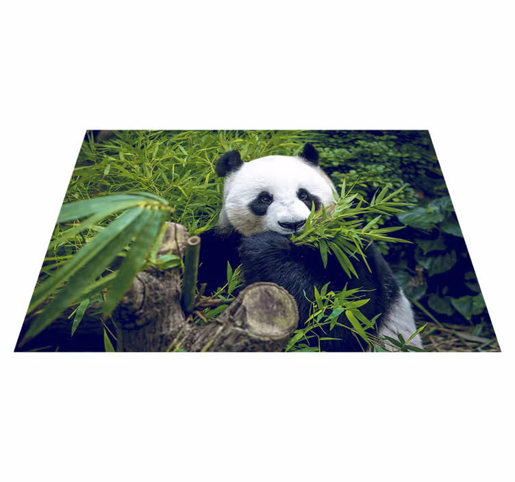 Zelen vinilni preproga ljubka panda - TenStickers