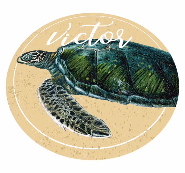 Personalizirana želva Vinilna preproga z imeni - TenStickers