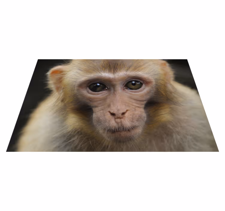 Realistična preproga za opice - TenStickers