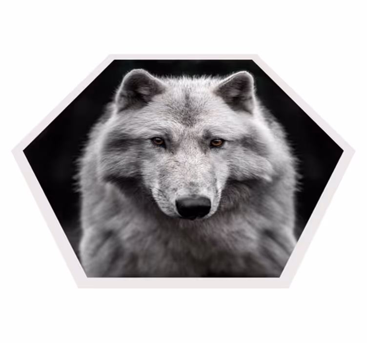 Portret volka Tepih z živalskim potiskom - TenStickers