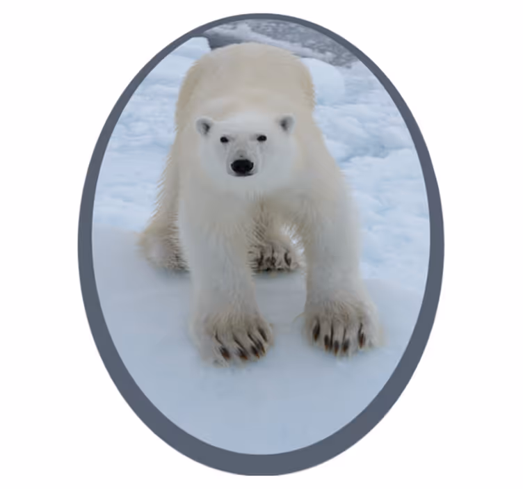 Slika polarnega medveda Tepih z živalskim potiskom - TenStickers