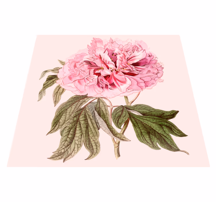Pink peony blossom cvetlična vinilna preproga - TenStickers