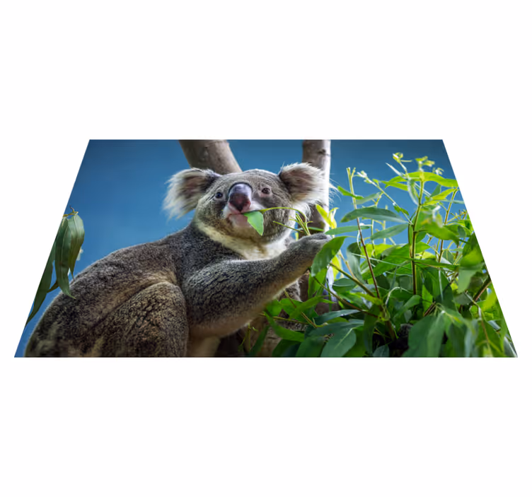 Koala v naravi Tepih z živalskim potiskom - TenStickers
