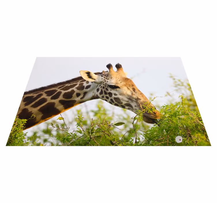 živalska žirafa vinil preproga - TenStickers