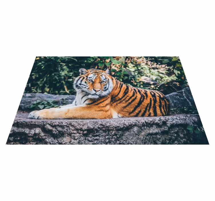 Veličasten ležeči tiger Tepih z živalskim potiskom - TenStickers