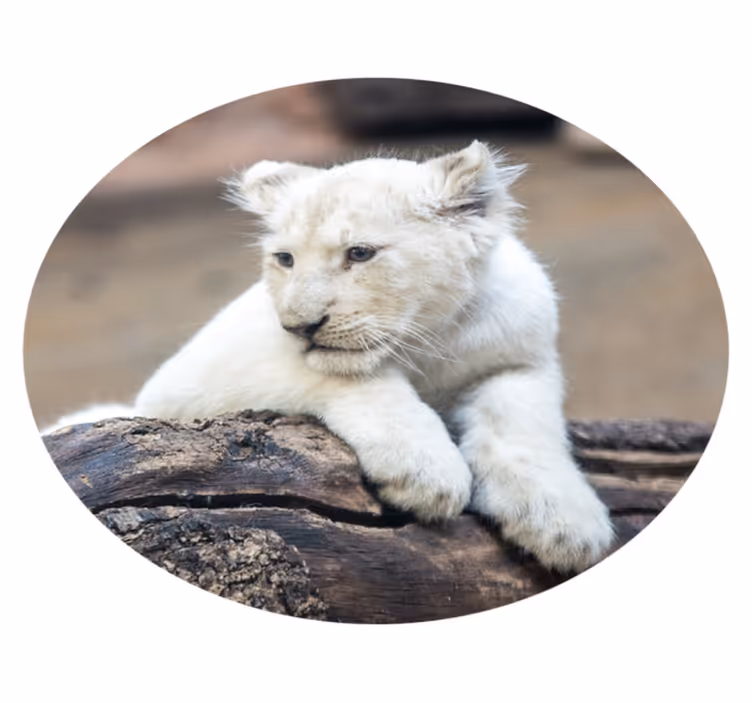 Tepih z živalskim potiskom white lion cub - TenStickers
