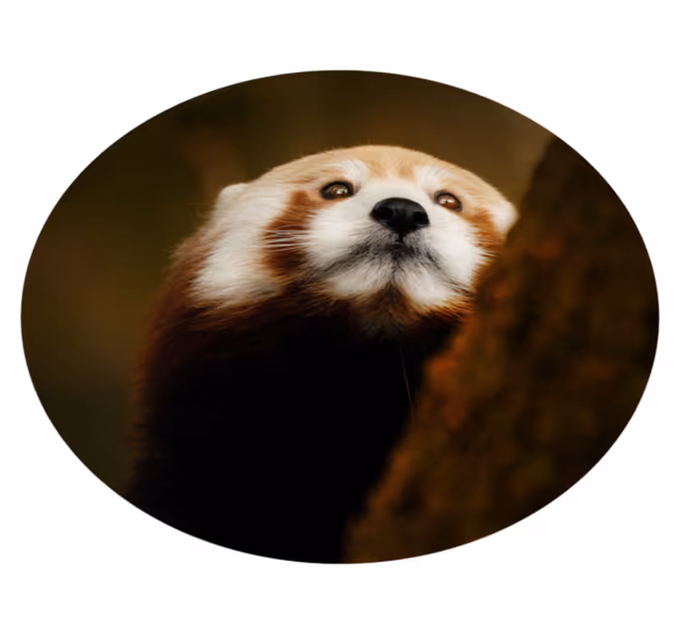 Portret rdeče lisice Tepih z živalskim potiskom - TenStickers