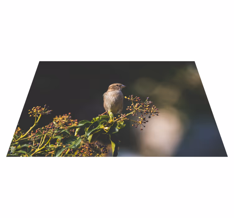 Očarljiva ptica sedi Naravne vinilnea preproga - TenStickers