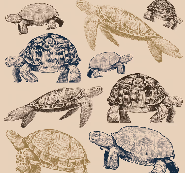 Zbirka želv tapeta z živalmi - TenStickers