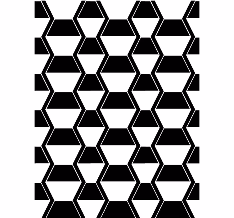 Tapeta za dnevno sobo v črno-belem hexagonu - TenStickers