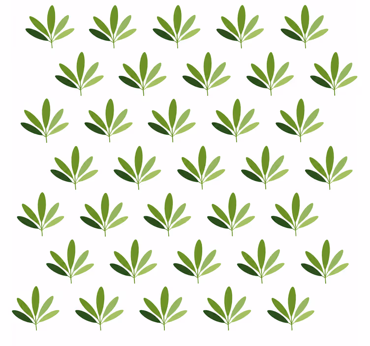 Tapeta z listi sladka palma - TenStickers