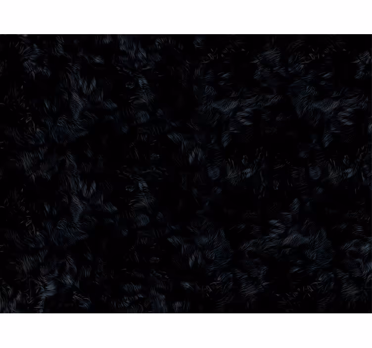 Tapete v črni barvi za eleganten videz prostora - TenStickers