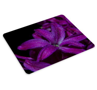 Vibrant floral closeup originalna podloga za miško - TenStickers