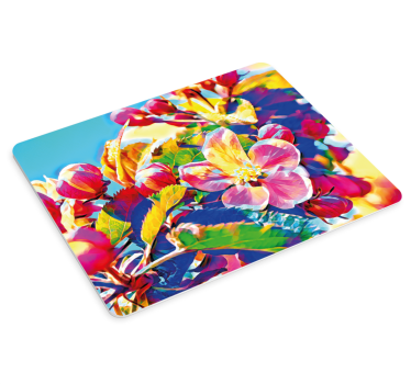 Floral color burst originalna podloga za miško - TenStickers