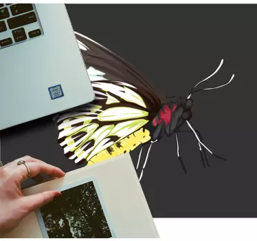 Stylized butterfly illustration originalna podloga za miško - TenStickers