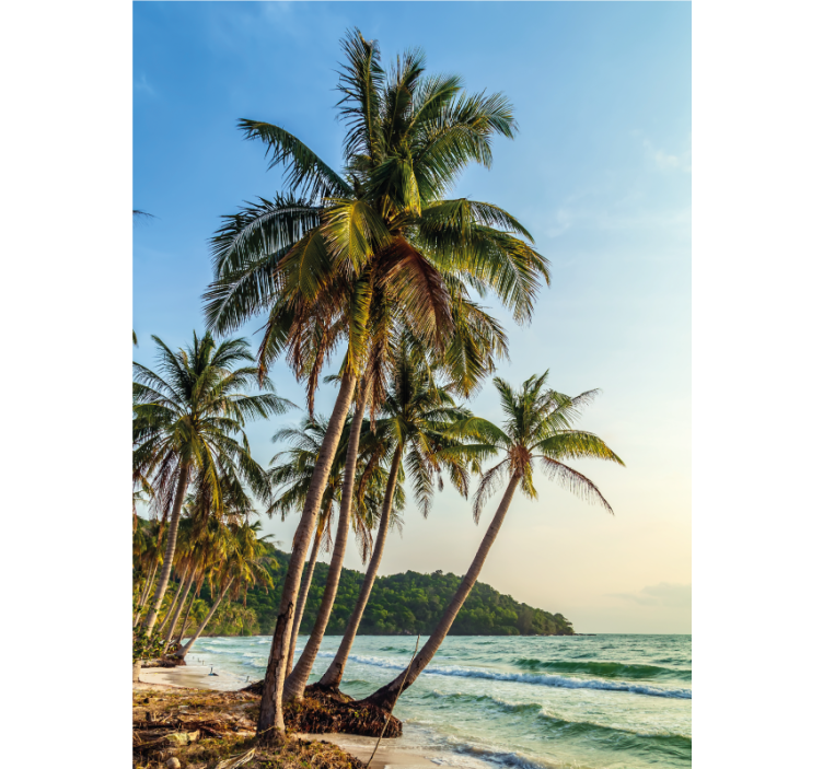 Palme na plaži rolo zavesa za kopalnico - TenStickers