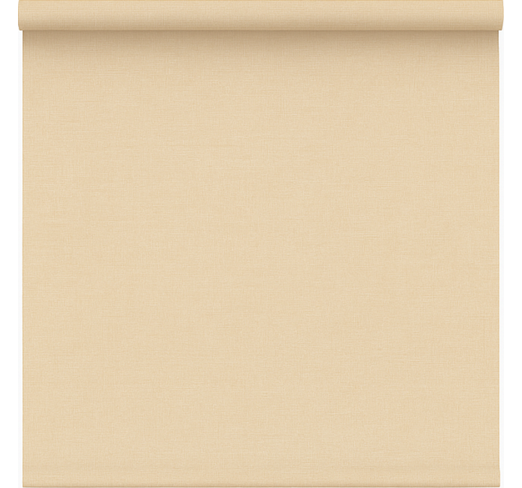 Simple beige see through rolo zavesa za pisarno - TenStickers