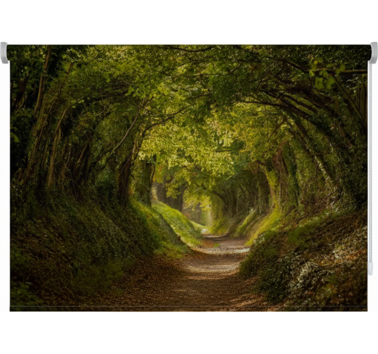 English green path gred rolo senčilo - TenStickers