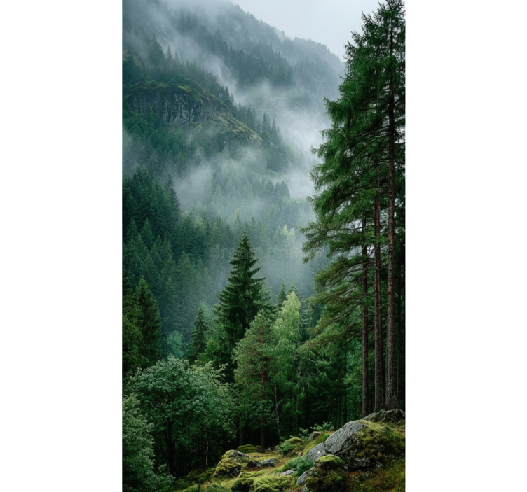 The moody choice gred rolo senčilo - TenStickers