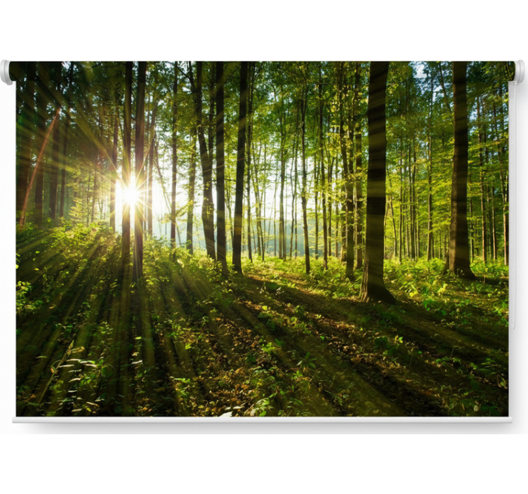 Golden sunburst woods gred rolo senčilo - TenStickers