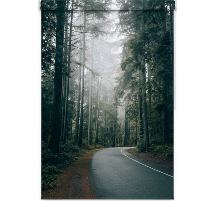 Foggy pine road gred rolo senčilo - TenStickers