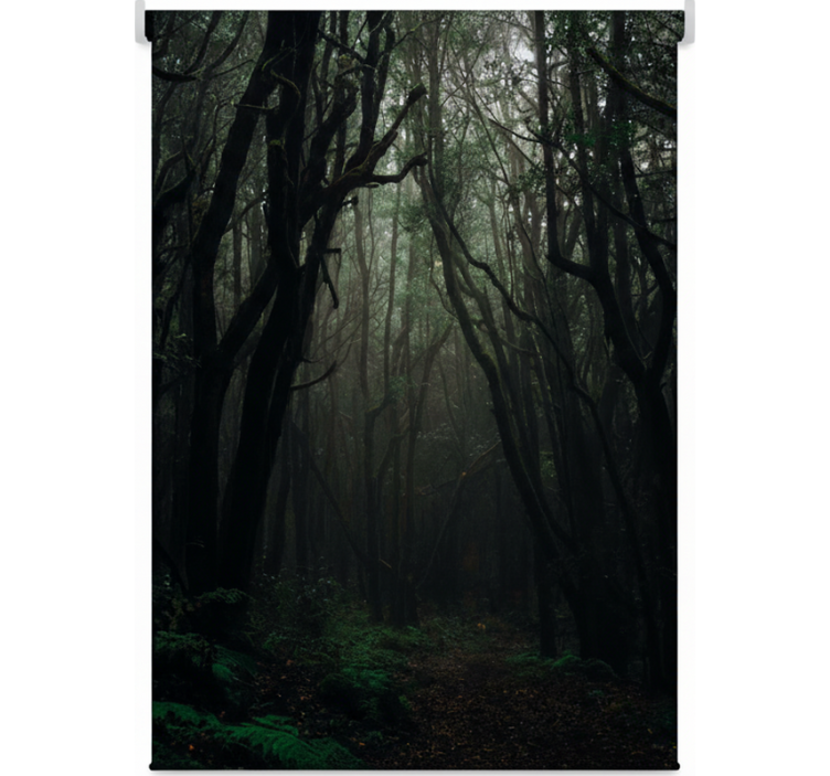 Dark mystic woods gred rolo senčilo - TenStickers