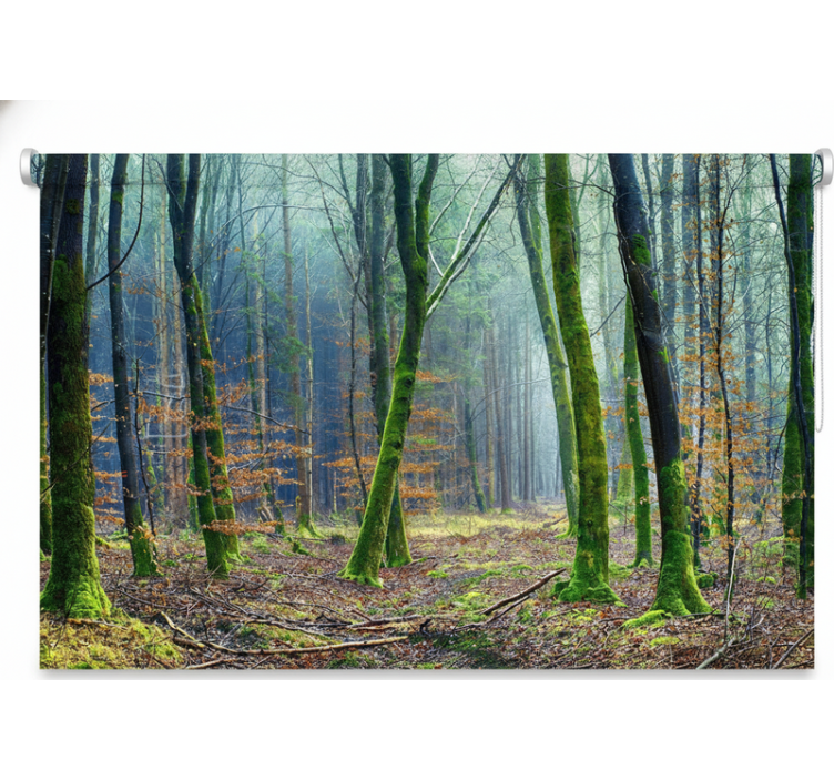 Foggy forest japandi gred rolo senčilo - TenStickers