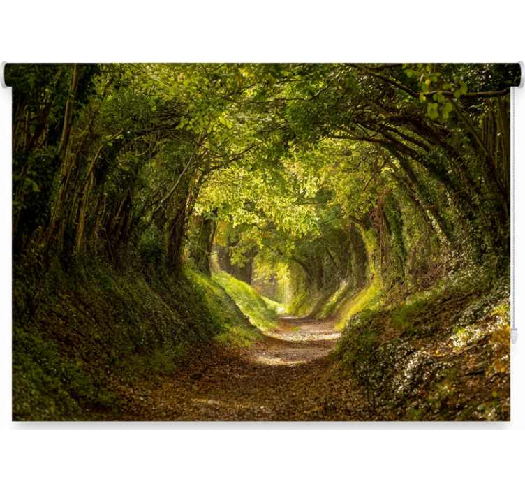 Immersive forest mural z rolo senčilom - TenStickers