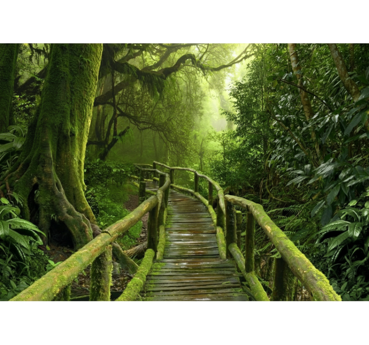 Lush mossy boardwalk gred rolo senčilo - TenStickers