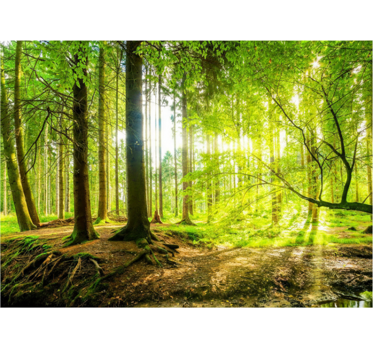 Lush mountain valley gred rolo senčilo - TenStickers