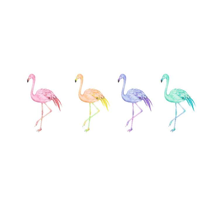 Bela rolo zavesa pisani brezšivni flamingi - TenStickers