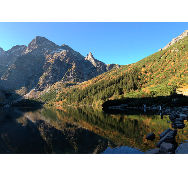 Zeleno rolo zaveso morsko oko in pomlad - TenStickers