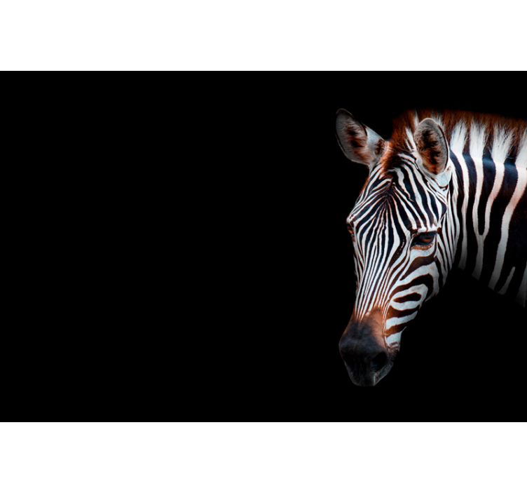 Rolo zavesa za dnevno sobo zebra slika - TenStickers
