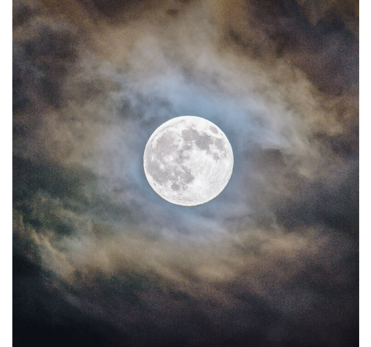 Rolo zavesa za dnevno sobo noč polne lune - TenStickers