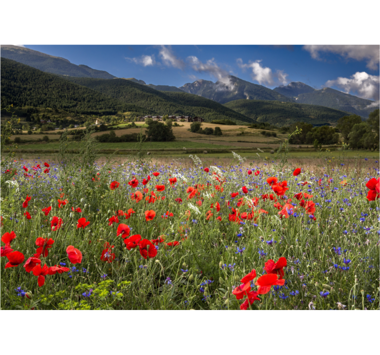 Rolo zavesa za dnevno sobo čudovito cvetoče polje - TenStickers