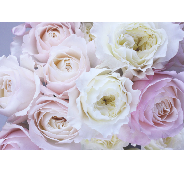 Rolo zavesa za dnevno sobo različne vrtnice v bližini - TenStickers