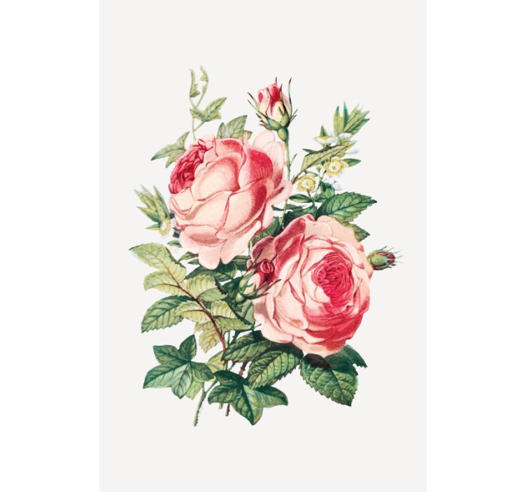 Romantic rose blooms cvetje in rastline v senci - TenStickers