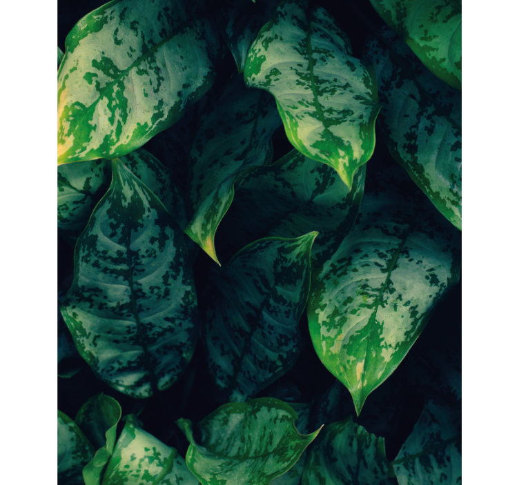 Vibrant green leaves cvetje in rastline v senčnem okolju - TenStickers